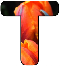 Blumenbuchstabe-T.jpg
